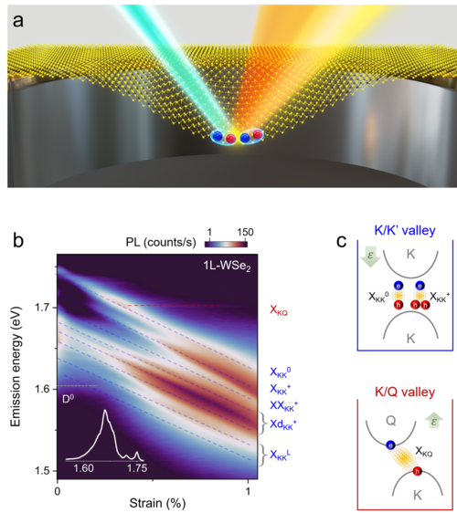 Fig.: Strain fingerprinting of exciton valley character in 2D semiconductors